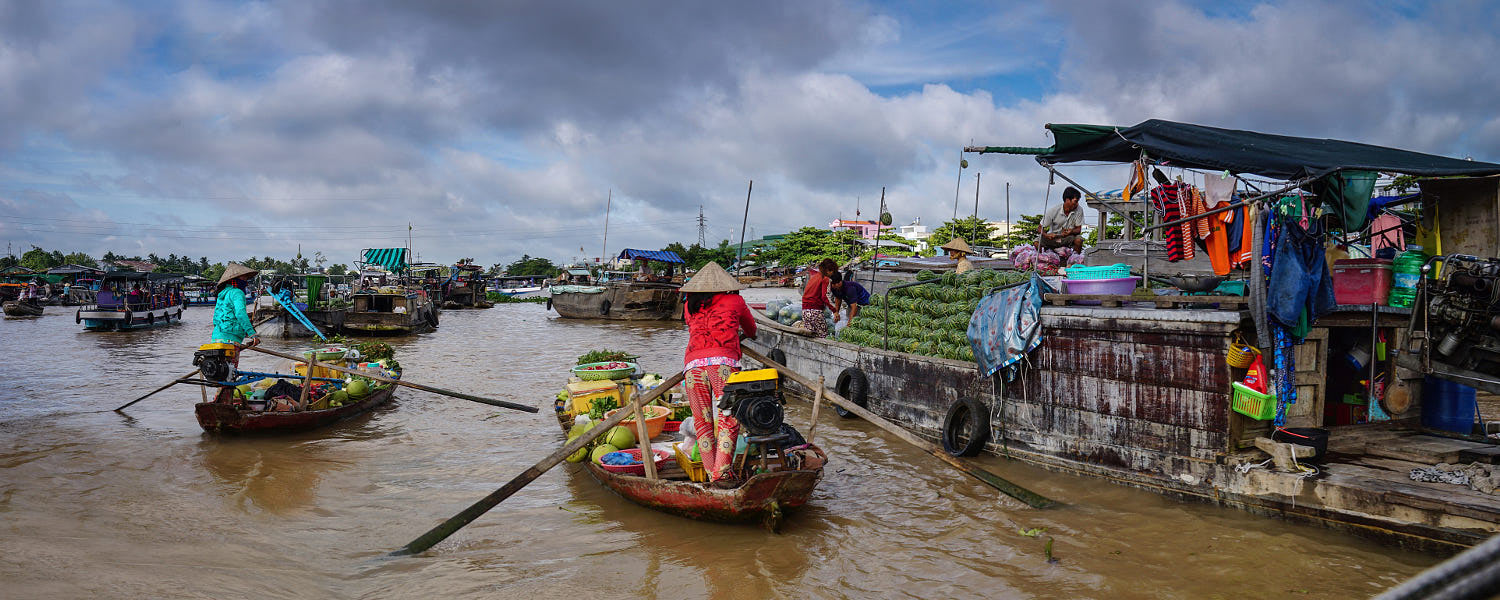 504e1307-a047-4831-86a9-573767d83081