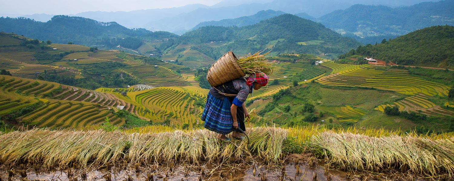 bf6ee388-1168-4f76-8c20-03ec19a68c08